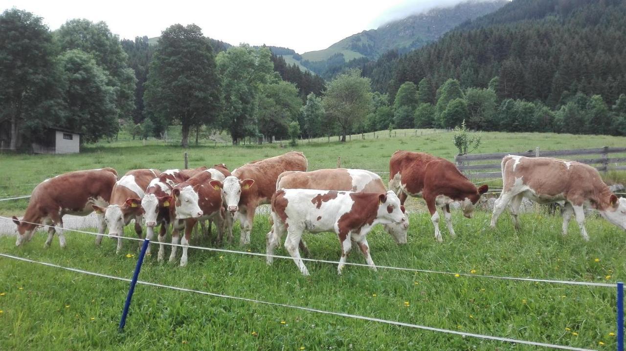 Schiessling Hof Villa Oberndorf in Tirol Exteriör bild